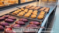 可能是制的次要要素