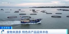 食日所正在周为我国粮食平安宣传周